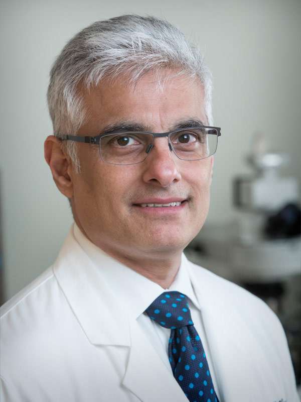 Sunil Hingorani, MD, PhD