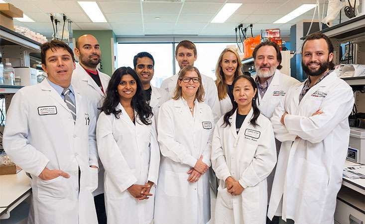 MD Anderson researchers are looking for better treatment options for pancreatic cancer patients.