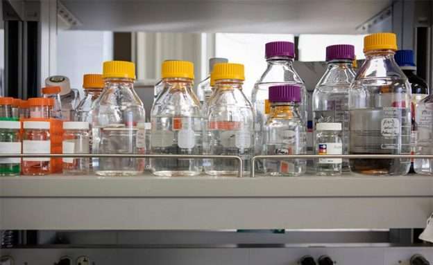 Bottles in a pancreatic cancer lab that are used to study autophagy, self-eating cells