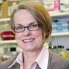 Pancreatic cancer oncologist and scientist works to provide more options to patients
