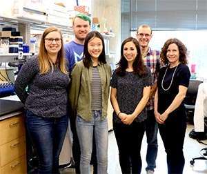 Pancreatic cancer research team aims to improve immunotherapy 